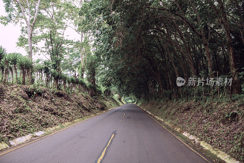 Highway in rural area of ​​Guatemala, southern tropical region, marked asphalt road.